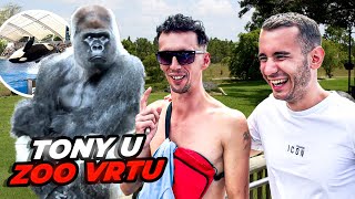 TONI PRVI PUT U ZOO VRTU HIT [upl. by Wolff]