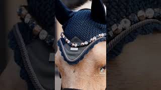 Harlow and Popcorn the pony modeling in equestrian Stockholm tack How do you think the blue looks [upl. by Savill]