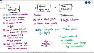 A2 Biology  Plant growth and development OCR A Chapter 161 [upl. by Elletnohs]