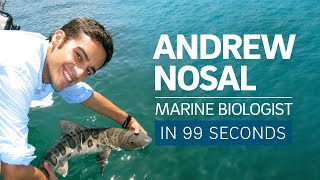 A Scientists Life in 99 Seconds Marine Biologist Andrew Nosal [upl. by Sanez]