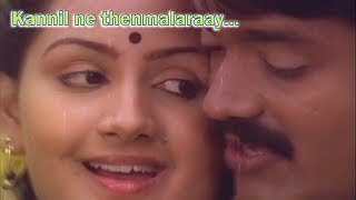 Kannil ne thenmalaraay  Muthodu Muthu Malayalam Movie Song  Sankar  Menaka [upl. by Wardieu334]