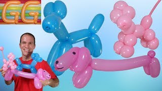 como hacer un perro con un globo  globoflexia perro  como hacer perritos con globos [upl. by Surbeck]