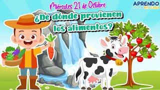 EL PERRO 🐶 Animales para niños 🏡 Episodio 15 [upl. by Nanerb693]