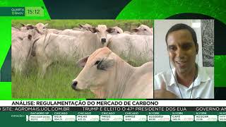 Análise regulamentação do mercado de carbono [upl. by Javed]