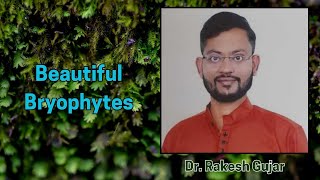 Beautiful Bryophytes  Dr Rakesh Gujar [upl. by Aihsirt]