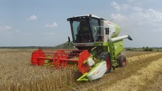 Żniwa 2013  Jęczmień Ozimy  Claas Avero 160 [upl. by Anahcra]