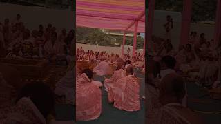 HARINAM INITIATION DAY iskcon prabhupada loknathswami initiation diksha shortvideo [upl. by Nets]