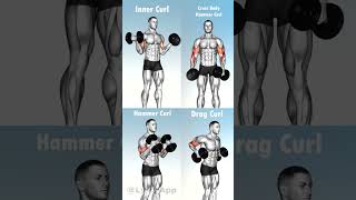 Arms exercise youtubeshorts motivation gymworkout armsexercise fitnessmotivation [upl. by Schafer]