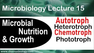 Microbial nutrition and growth and metabolism  Microbiology lecture [upl. by Berfield]