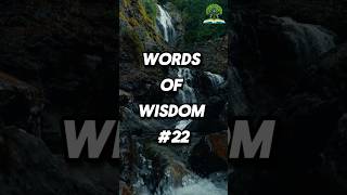 Words of wisdom 22 shorts [upl. by Elisha]