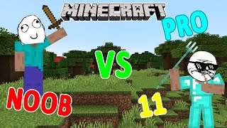 MINECRAFT  NOOB VS PRO 11 [upl. by Nennahs]