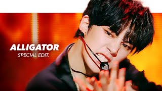 MONSTA X 몬스타엑스  Alligator Stage Mix교차편집 Special Edit [upl. by Ynobe]