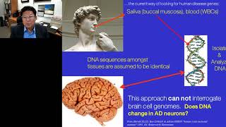 Somatic Gene Recombination in the Brain [upl. by Domph]