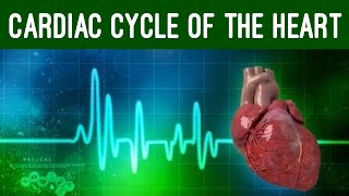 Alevel CARDIAC CYCLE Diastole atrial systole ventricular systoles the pressure volume changes [upl. by Yrret296]