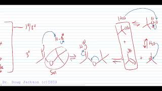 Esters Reactions Forming and Reactions of [upl. by Adahs]