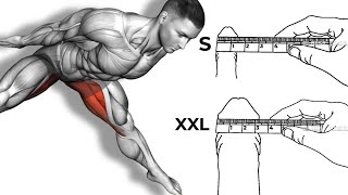 ➜ SHRINK Your ENLARGED PROSTATE With These 6 Exercises [upl. by Adnawat427]