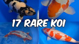 17 Most RARE and AMAZING KOI Varieties [upl. by Rammus]