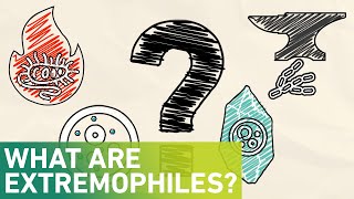 What are extremophiles [upl. by Salamone995]