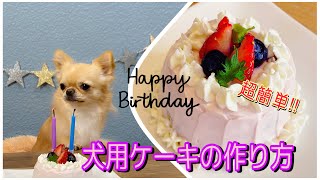 【超簡単】犬用ケーキの作り方【手作りケーキ】【birthday】 [upl. by Elly]