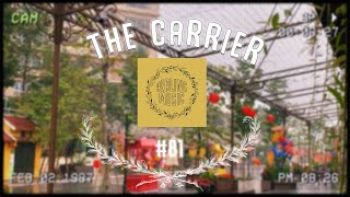 💍 The Carrier  🌿 Heartfelt Harmonies Let the Music Touch Your Soul 🌿 81 [upl. by Eniawtna785]