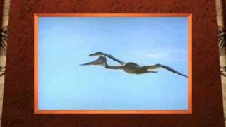 Flying Quetzalcoatlus Movie from 3D Dinosaur Adventure MSDOSPackard Bell Version [upl. by Enialb]