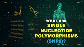 SNPs Single Nucleotide Polymorphism0 Better Explained [upl. by Harvard]