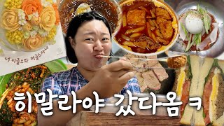 N잡러브이로그🤹한국 좋아 브이로그🩵히말라야 갔다와서 세상 제일 달콤한 한국에서의 일상✌️이리도 달콤할 수 있을까 너무 달콤해서 혈당 스파이크 옴💫 [upl. by Lassiter]