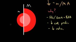 Clinical Approach to Anemia [upl. by Willman340]