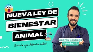 10 Claves de la Ley de Bienestar Animal España 2023 ✅ [upl. by Hazelton158]