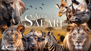 African Safari 4K  Amazing Wildlife of African Savanna  Scenic Relaxation Film [upl. by Nerdna]