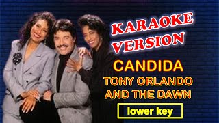 CANDIDA by Tony Orlando and Dawn  Karaoke Version Lower Key [upl. by Sello678]