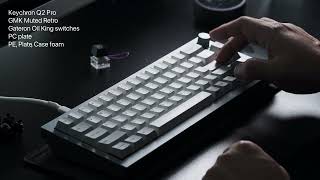 Keychron Q2 Pro w Knob Aluminum 65 Sound Test [upl. by Teevens]