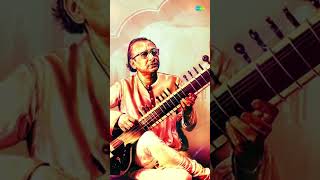 Malkauns  Pt Nikhil Banerjee indianclassicalmusic classicalmusic sitarmusic raga ytshort [upl. by Anahsahs]