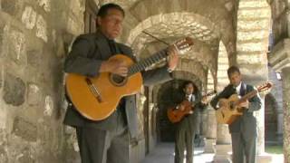 TRIO AYACUCHO  Huerfano pajarillo wayno [upl. by Trocki]