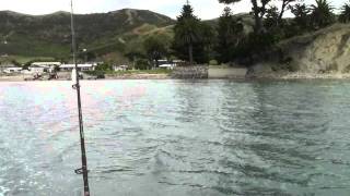 Mahia Fishing Part 2 of 4 [upl. by Nosmas]