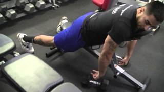 How to Do Incline Dumbbell Rows [upl. by Blackman]