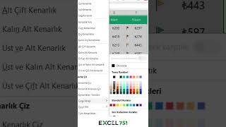 Excelde Farklı Renkte Kenarlık Atamanın Kolay Yolu  EXCEL 751 [upl. by Elraet342]