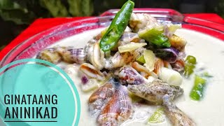 How To Cook Ginataang Aninikad [upl. by Nielson]