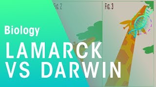 Theories of evolution Lamarck vs Darwin  Evolution  Biology  FuseSchool [upl. by Eilasor]