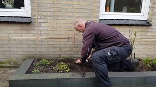 Van geveltuin naar fruitmuur  2 Aanplanten [upl. by Paley]