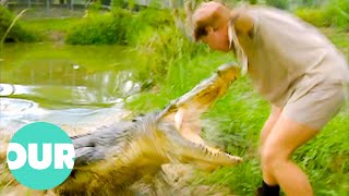 Can Steve Irwin Capture The Australian Saltwater Crocodile  Our World [upl. by Omer]