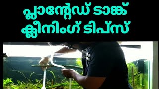 Planted tank Weekly maintenance in malayalam [upl. by Furtek722]