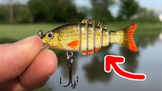 MICRO Jointed Swimbait  SMALLEST in the WORLD Surprising Results [upl. by Eidurt]