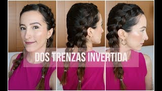 Dutch Braids  Dos trenzas invertida [upl. by Fogarty]