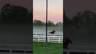 October means Keeneland season and WinAndYoureIn racing 🏇 [upl. by Ymmas]