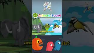 The Animal Sound Songs AE  Animals Sing Everywhere  Kids Song amp Nursery Rhymes  EduFam [upl. by Ahcirt302]