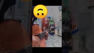 Blackbird singing in the dead of night gitarcover thebeatles [upl. by Trik]