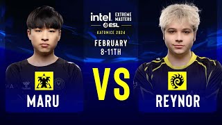 Maru vs Reynor  IEM SC2 Katowice 2024  Group Stage [upl. by Infeld999]