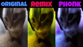 Chipi Chipi Chapa Chapa Original vs Phonk vs Remix [upl. by Norrahs]