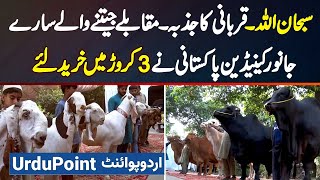 Canadian Pakistani Ne Qurbani Ke Liye Competition Jeetne Wale Sare Janwar 3 Crore Mein Kharid Liye [upl. by Wilda36]